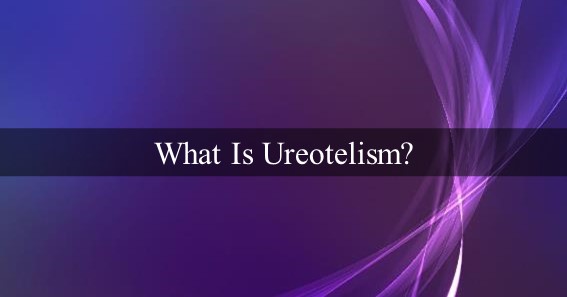 What Is Ureotelism